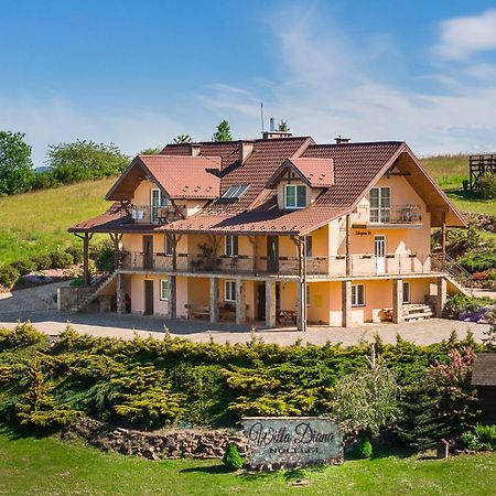 Willa Diana- Z Panorama Jeziora I Gor W Polanczyku Exterior foto