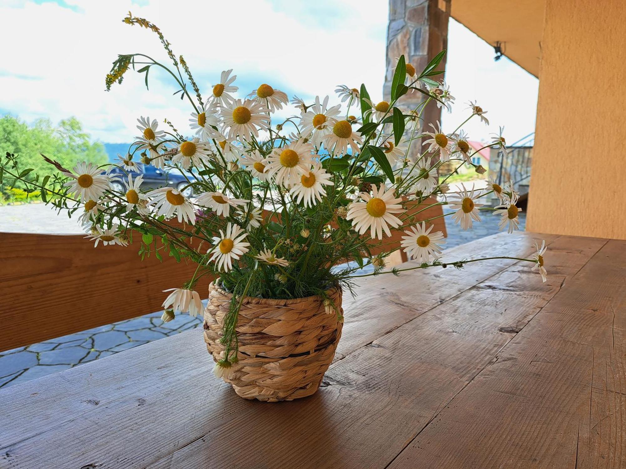 Willa Diana- Z Panorama Jeziora I Gor W Polanczyku Zimmer foto